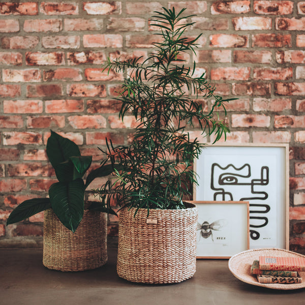 Talala Basket - 30cm